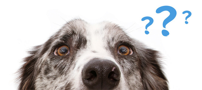 Mot de passe oublié